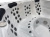 SPA бассейн Jazzi Pool SKT333E